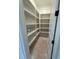 A walk-in pantry with built-in shelving is ready for organization in this new home at 129 Windel Dr, Raleigh, NC 27609