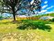 Large backyard with a wooden fence and large shade tree at 2923 Mckinney St, Burlington, NC 27217