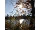 Sparkling lake view through autumn leaves at 300 Duchart Ln, Fuquay Varina, NC 27526