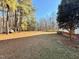 Large backyard with mature trees and open space at 414 Ash Lily Ct, Nashville, NC 27856