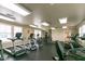 Well-equipped gym featuring treadmills, weights, and natural light at 64 Barn Owl, Pittsboro, NC 27312