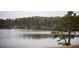 Serene lake view with lush trees and calm waters at 128 Bruce Dr, Cary, NC 27511