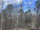 Scenic view of mature trees and foliage offering privacy and natural beauty to this property at 274 Westhampton Dr, Pittsboro, NC 27312