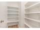 A pantry with multiple shelving providing tons of storage space at 296 Wilson Farm Ln, Clayton, NC 27527