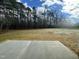 Expansive backyard with lush trees, a large grassy area, and a concrete patio perfect for outdoor entertaining at 100 Preacher Ln, Angier, NC 27501