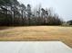 Large backyard with cleared lot and treeline at 100 Preacher Ln, Angier, NC 27501