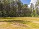 Lush green backyard with mature trees and natural landscaping at 1040 Southern High School Rd, Burlington, NC 27215
