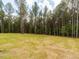 Expansive backyard with mature trees and grass at 1040 Southern High School Rd, Burlington, NC 27215