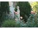 Artistic statue surrounded by beautiful roses and lush greenery in a serene garden setting at 32602 Archdale, Chapel Hill, NC 27517