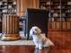 Close up of the library showcasing wood bookcases, seating area and hardwood floors plus a small dog at 32602 Archdale, Chapel Hill, NC 27517