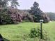 Landscaped lot with flowering bushes and a lamp post at 3722 Durham Rd, Raleigh, NC 27614