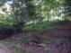 Wooded area with slight incline and rocks at 3722 Durham Rd, Raleigh, NC 27614