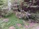 Wooded lot with lush vegetation and flowering bushes at 3722 Durham Rd, Raleigh, NC 27614