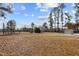 Large open backyard space with several tall trees and a storage shed at 5088 Christian Light Rd, Fuquay Varina, NC 27526