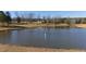 Peaceful pond with geese and a view of the house at 5765 G Snow Camp Rd, Graham, NC 27253