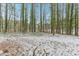 A snow covered backyard with tall, mature trees lining the back of the lot at 642 Pine Ridge Pl, Raleigh, NC 27609
