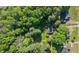 Aerial view highlighting a home nestled among lush greenery and mature trees at 801 Williamsboro St, Oxford, NC 27565