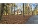 Home in the woods with a driveway at 1909 Pearces Rd, Zebulon, NC 27597