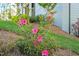 Landscaped yard featuring a lovely azalea bush with bright pink blossoms, near the house at 2721 Sanctuary Woods Ln, Raleigh, NC 27606