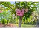 Landscaping features a blooming Kwanzan Cherry tree at 2721 Sanctuary Woods Ln, Raleigh, NC 27606