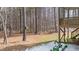 Wooded backyard with a snow-covered ground and a snowblower at 46 Trusting Ln, Middlesex, NC 27557