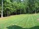 Large, level backyard with lush lawn and a treeline in the distance at 11201 Jonas Ridge Ln, Raleigh, NC 27613