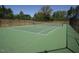 Well-maintained community tennis court with a green surface and netting at 11201 Jonas Ridge Ln, Raleigh, NC 27613