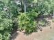 Wooded backyard with mature trees at 166 Gulley Glen Dr, Garner, NC 27529