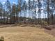 Large backyard with a treeline of mature trees; perfect for outdoor recreation and privacy at 8001 Wexford Waters Ln, Wake Forest, NC 27587