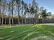 Large backyard with grassy area and tall trees at 257 Magnolia Run Way, Benson, NC 27504