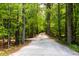 Long gravel driveway lined with lush green trees leading into the community at 1705 Clydner Dr, Cary, NC 27523