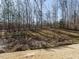 Natural backyard area with a treeline view at 222 Kylemore Cir, Cary, NC 27513