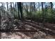 Wooded backyard with natural landscaping and privacy at 1511 Creekwood Ct # 102, Raleigh, NC 27603