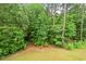 Lush backyard with mature trees at 200 Callandale Ln, Durham, NC 27703
