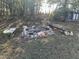 A backyard brick fire pit surrounded by benches on a grassy yard in a wooded location at 270 W Silverado Ct, Kenly, NC 27542
