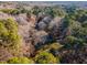 Aerial view of home surrounded by lush, mature trees at 11712 Black Horse Run, Raleigh, NC 27613
