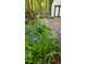 Landscaped garden with purple irises and brick pathway at 1616 Glengarry Dr, Cary, NC 27511