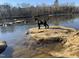 Beautiful river view with a cute dog on a rock, surrounded by trees and water, a serene outdoor experience at 196 Paces Mill Trl, Pittsboro, NC 27312