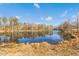 Serene pond view with tree-lined perimeter at 421 Shady Willow Ln, Rolesville, NC 27571