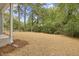 Large backyard with trees and grass at 435 Iris Bryant Rd, Dunn, NC 28334