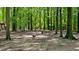 Scenic dog park with mature trees and a spacious area for dogs to play at 1000 Norris St, Raleigh, NC 27604