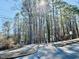 Picturesque view of the greenway, perfect for outdoor enjoyment at 103 Cimmaron Ct, Cary, NC 27511