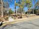 Scenic neighborhood view featuring mature trees, landscaping, sidewalks, and a glimpse of residences at 103 Cimmaron Ct, Cary, NC 27511