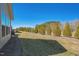 Landscaped backyard with a row of evergreen trees offering privacy at 1206 Newton Dr., Mebane, NC 27302