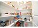 Neat walk-in pantry featuring shelving, canned food, and home goods at 125 Canary Ct. Ct, Raleigh, NC 27610