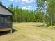 Lush green backyard with plenty of space for outdoor activities and relaxation at 320 Pilot Ridge Rd, Zebulon, NC 27597