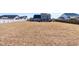 Spacious backyard with a view of the house at 139 Red Angus Dr, Smithfield, NC 27577