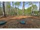 Wooded backyard with a septic system and a covering of dry leaves and pine straw at 512-A E Graham St, Mebane, NC 27302