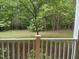 View of the lush, green backyard from a porch, featuring trees and natural privacy at 814 Providence Glen Dr, Chapel Hill, NC 27514