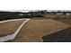 Overlooks a large backyard with a white privacy fence at 1013 Prominence Dr., Homesite 22, Durham, NC 27712
